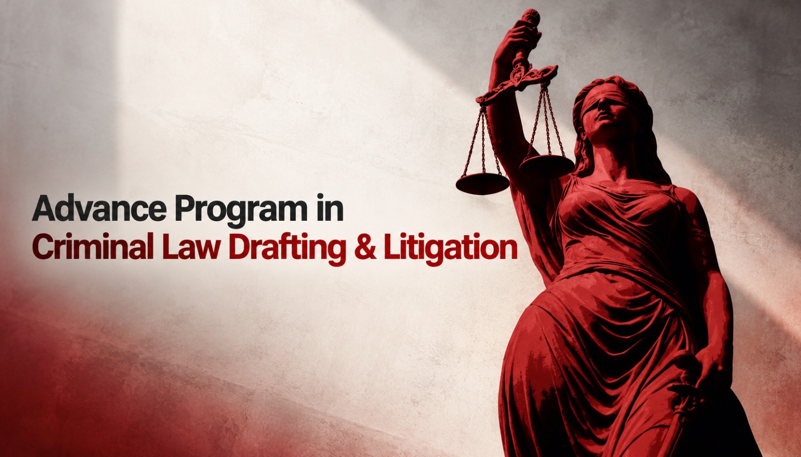 Advance Program in Criminal Law Drafting & Litigation