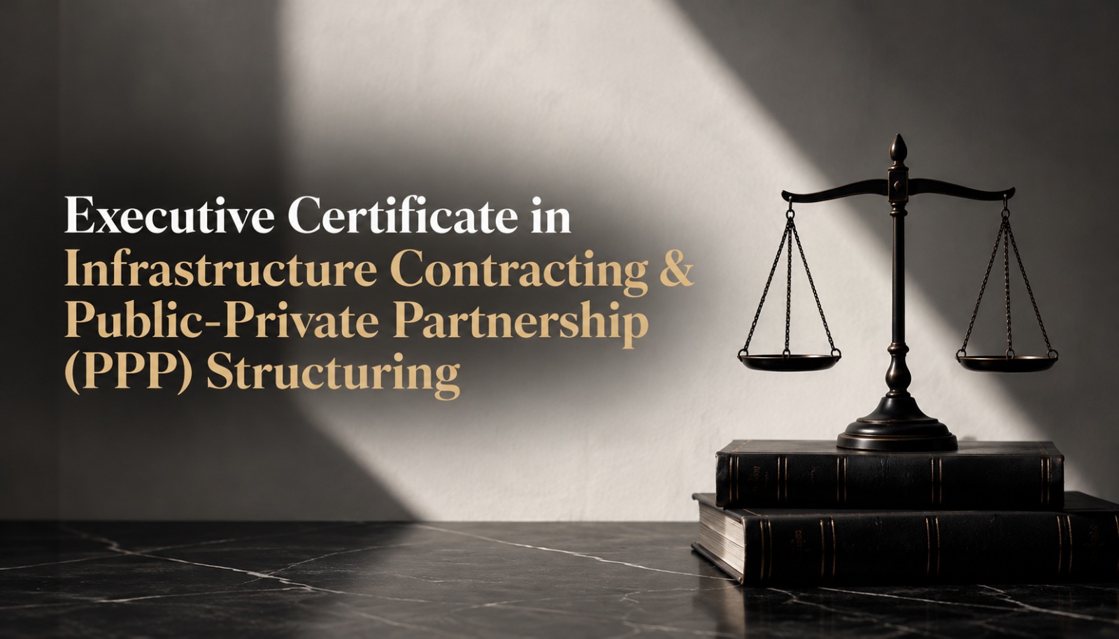 Executive Certificate in Infrastructure Contracting & Public-Private Partnership (PPP) Structuring