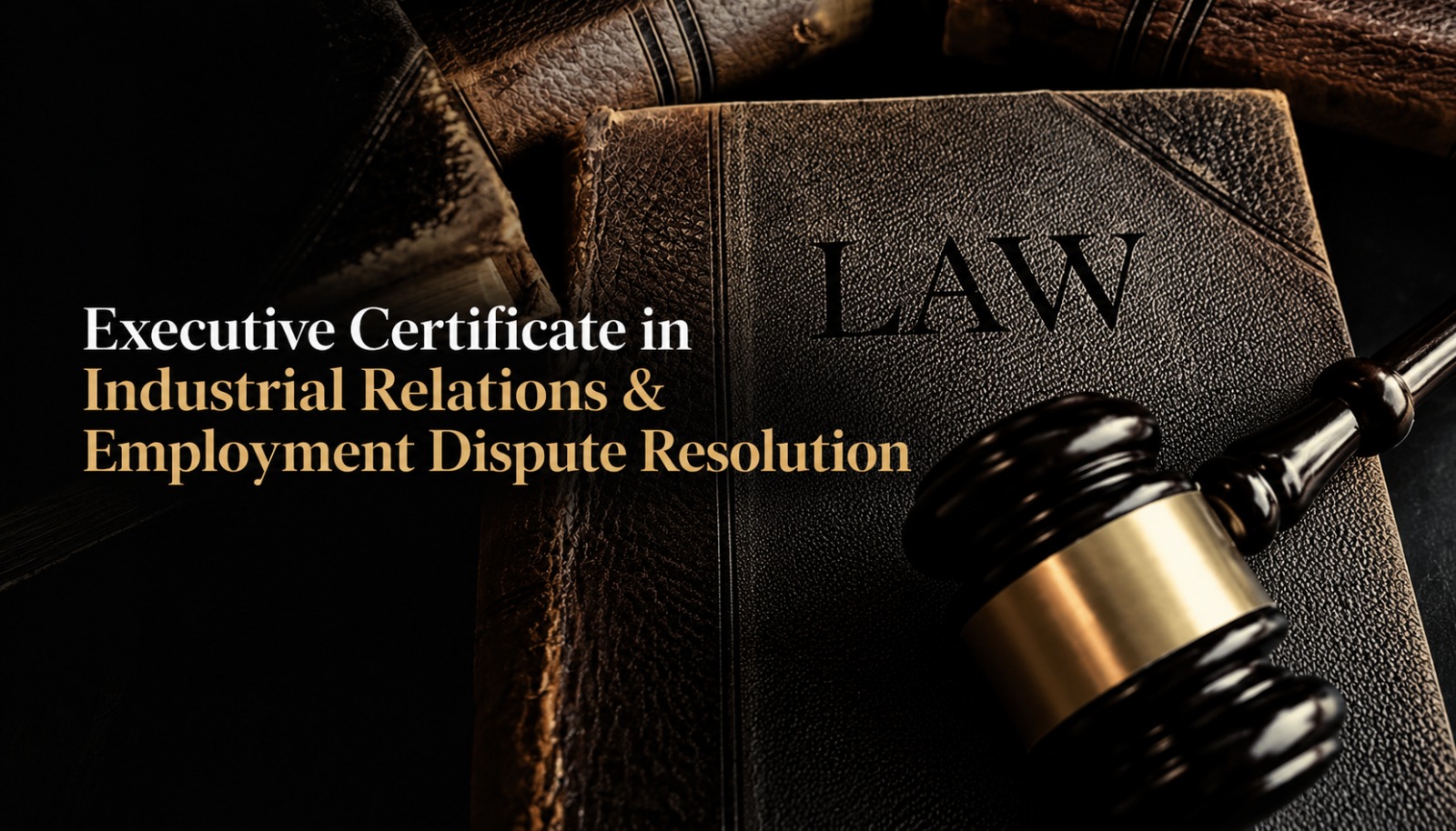 Executive Certificate in Industrial Relations & Employment Dispute Resolution